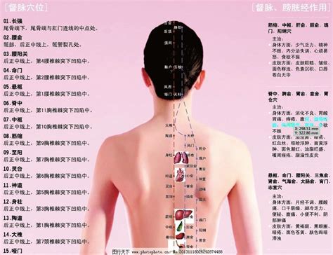 二十大名穴|女性人体穴位图解大全